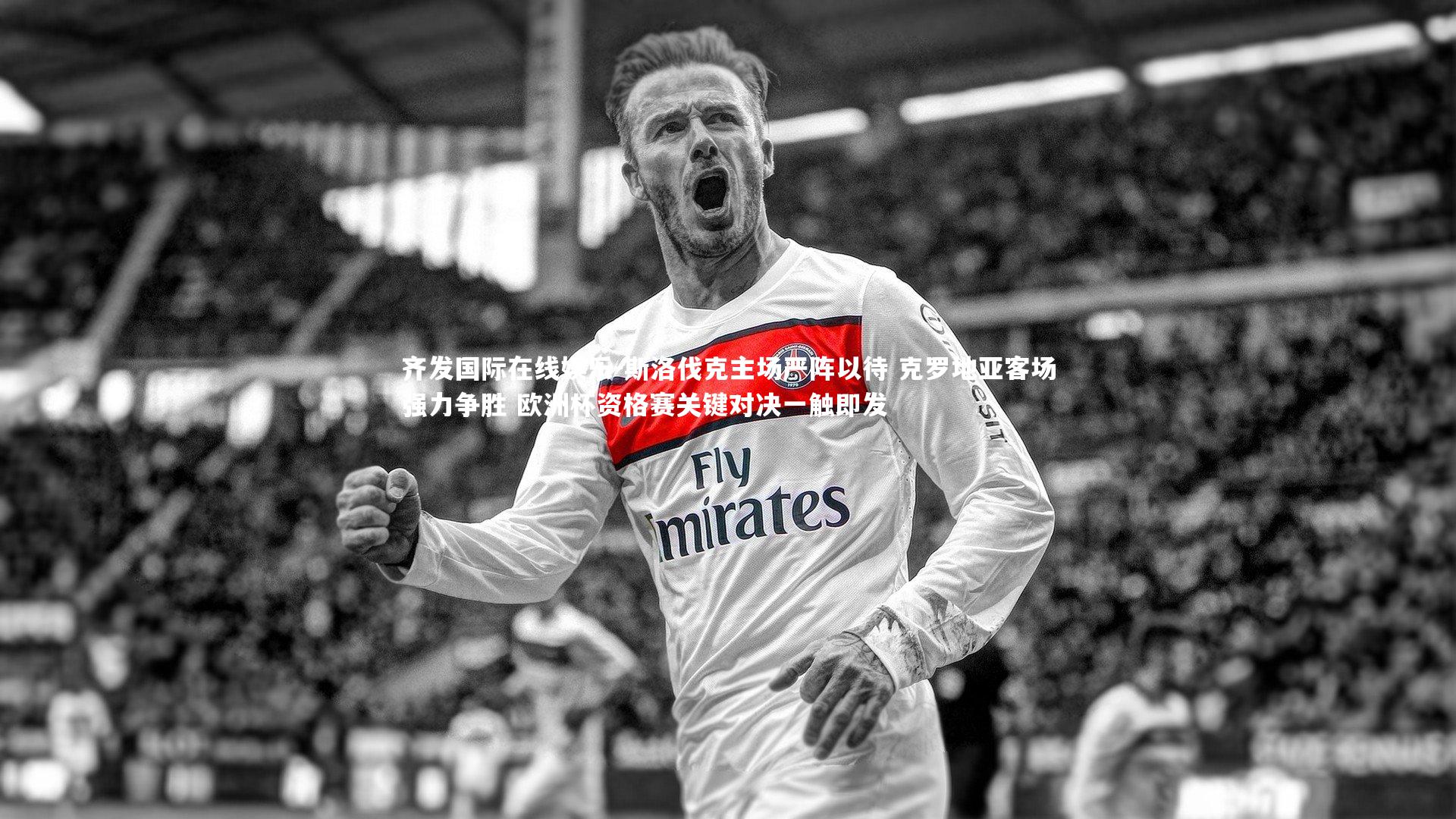 斯洛伐克主场严阵以待 克罗地亚客场强力争胜 欧洲杯资格赛关键对决一触即发